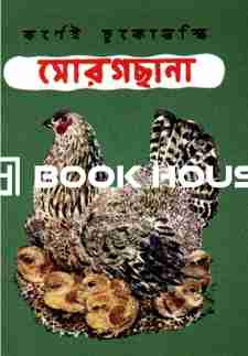 মোরগছানা